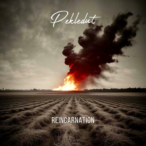 Reincarnation
