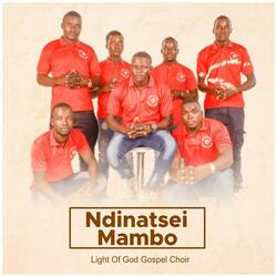 ENDAI MBERI
