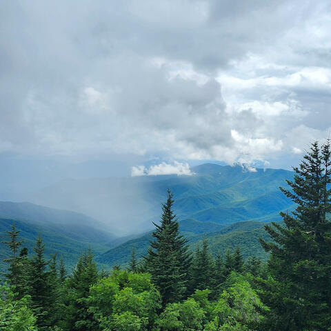 Landslide
