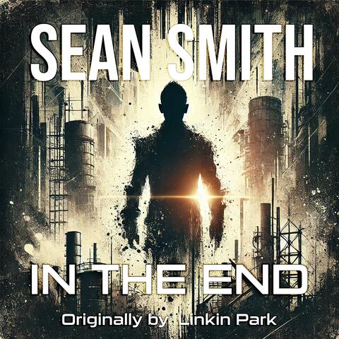 In The End (Instrumental Cover)