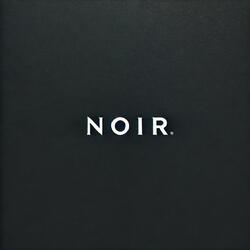Noir (2024 Demo)