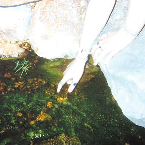 reverberate