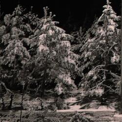 frostbite (alternate version)