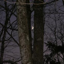 tear apart the night sky, silver moon