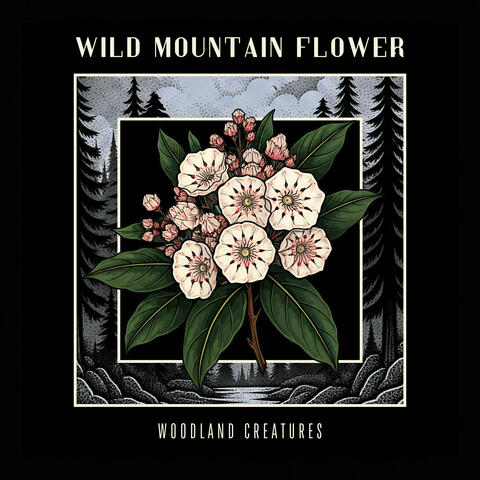 Wild Mountain Flower
