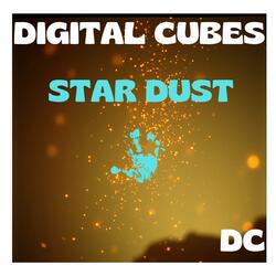 Star Dust