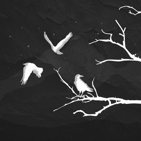 3 Little Birds