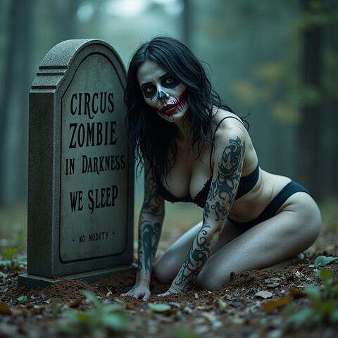 In Darkness We Sleep