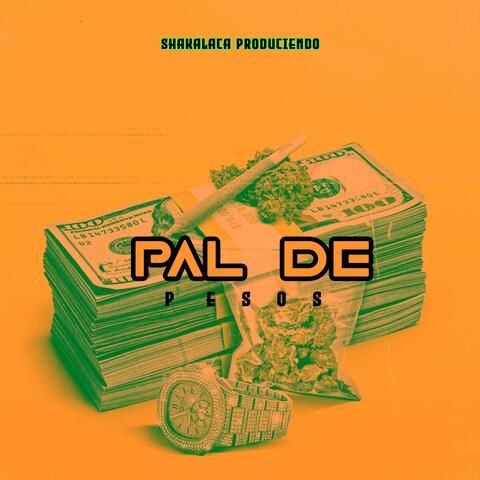 PAL DE PESOS