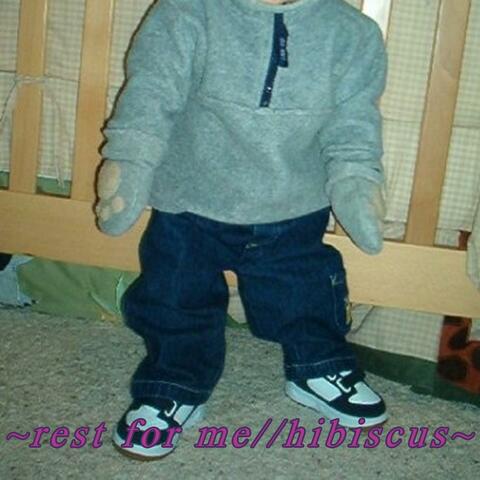 rest for me//hibiscus