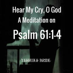 Hear My Cry, O God: A Meditation on Psalm 61:1-4
