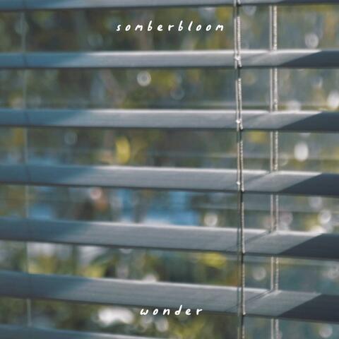 wonder