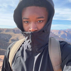 like mike (larkmancy)