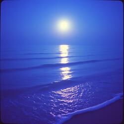 Twilight Echo