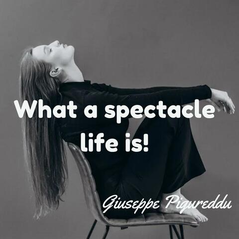 WAHT A SPECTACLE LIFE IS
