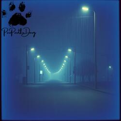 Midnight Walk