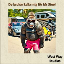 De brukar kalla mig för Mr Steel