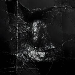 Lífið Er Að Líða Alltof Fljótt