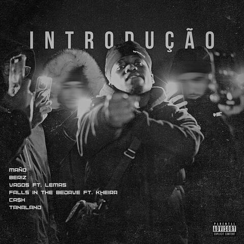 Introdução