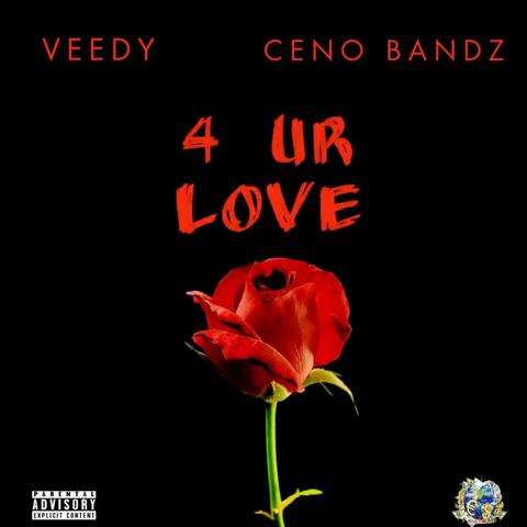 4 UR Love (feat. Veedy Baby )