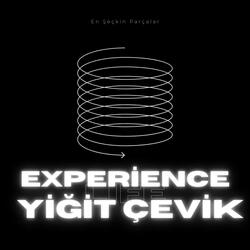 Experience