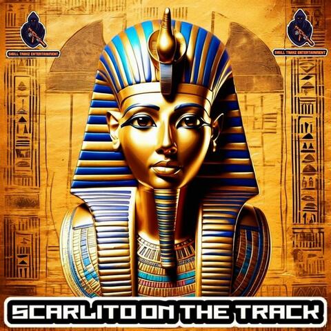 Tracknubis