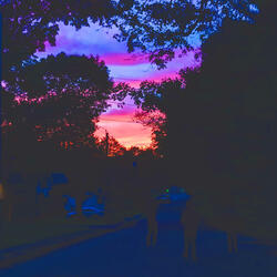 TrashBeatMix!1 (Instrumental)
