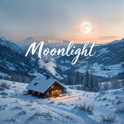 Winter Moonlight in the Valley