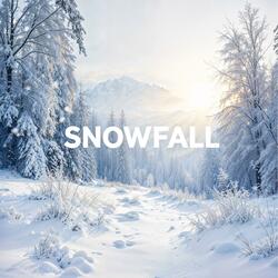 Snowfall