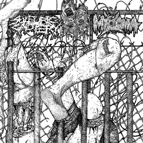 MYXOMA SPLIT