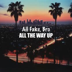 All Fake, Bro