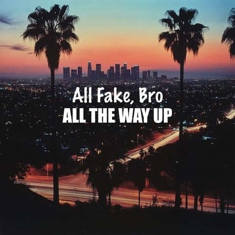 All Fake, Bro