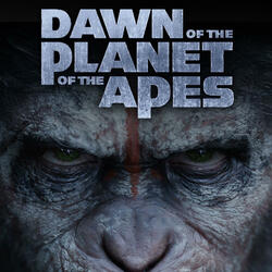 Ape