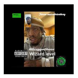 Wizzygotbanz Wizard level
