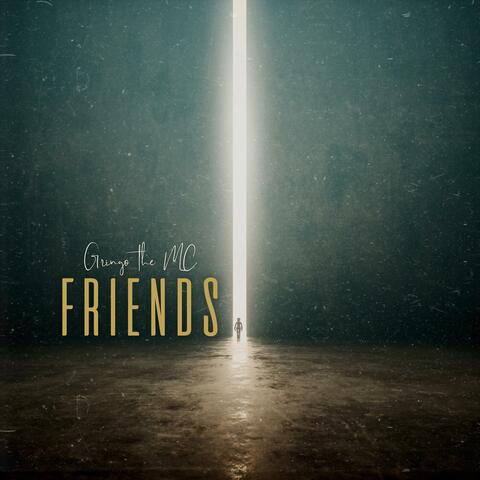 f r i e n d s
