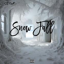 Snow fall