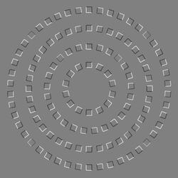 Tortoise Type