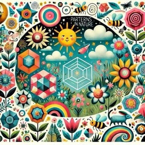 Patterns In Nature