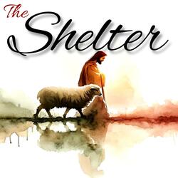 You're Bible (feat. Pankaj Kumar)