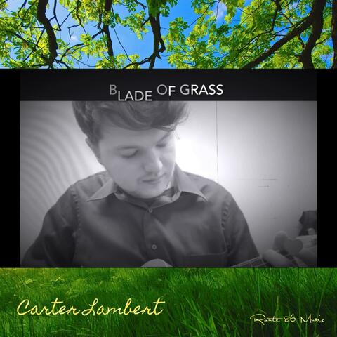 Blade of Grass