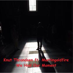 We Had Our Moment (feat. Martingoldfire)