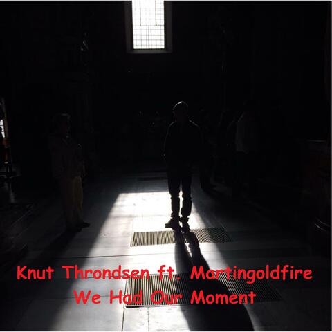 We Had Our Moment (feat. Martingoldfire)