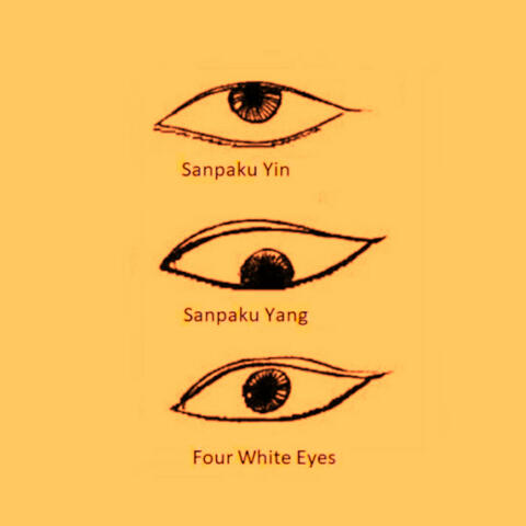 Yin Sanpaku (feat. Re$olve)