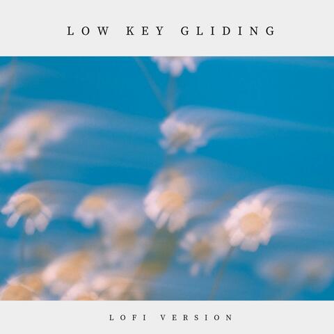 Low Key Gliding (lofi version)