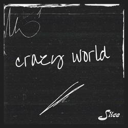Crazy World