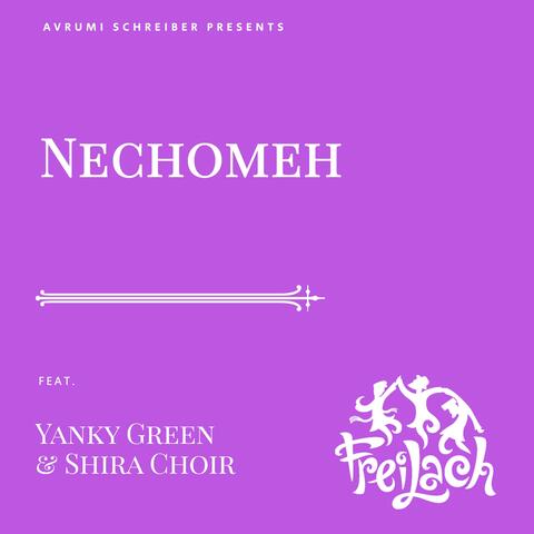 Nechomeh (feat. Yanky Green & Shira Choir)