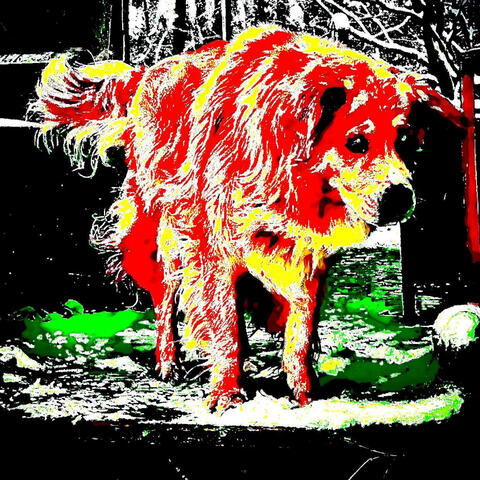 TS