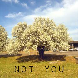 Not You