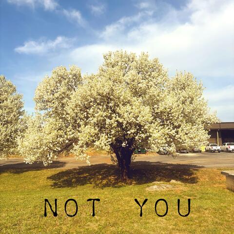 Not You