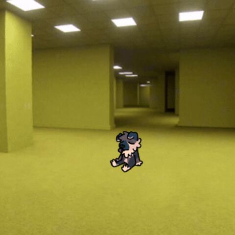 LIMINAL SPACES